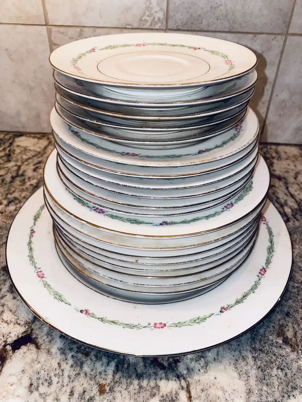 20 Theodore Haviland China New York Garden Flower Dinner Plates Lot Set Vintage